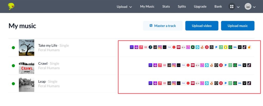 DistroKid review dashboard image depicting the digital stores.